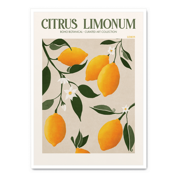 Citrus Limonum