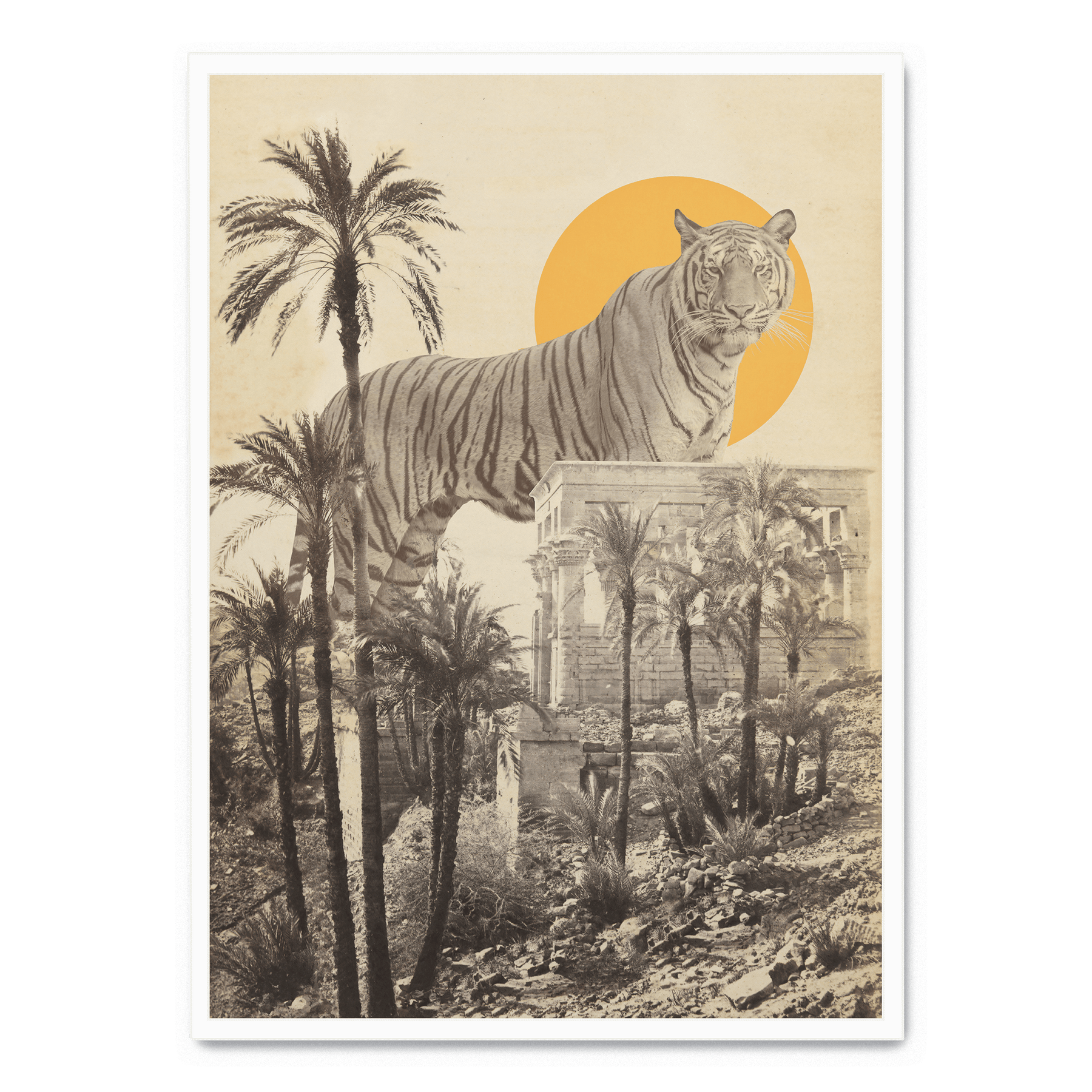 Giant Tiger In Ruins Poster Postera art giant-tiger-in-ruins-poster-postera-art
