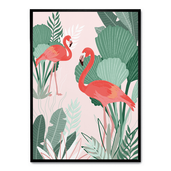 Flamingo Dreams