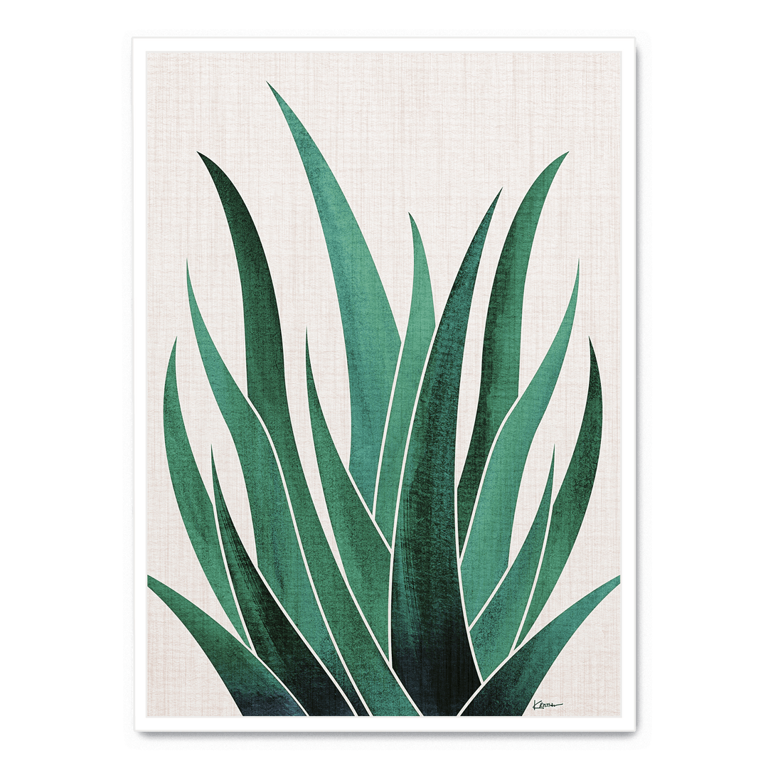 Desert Agave Cactus