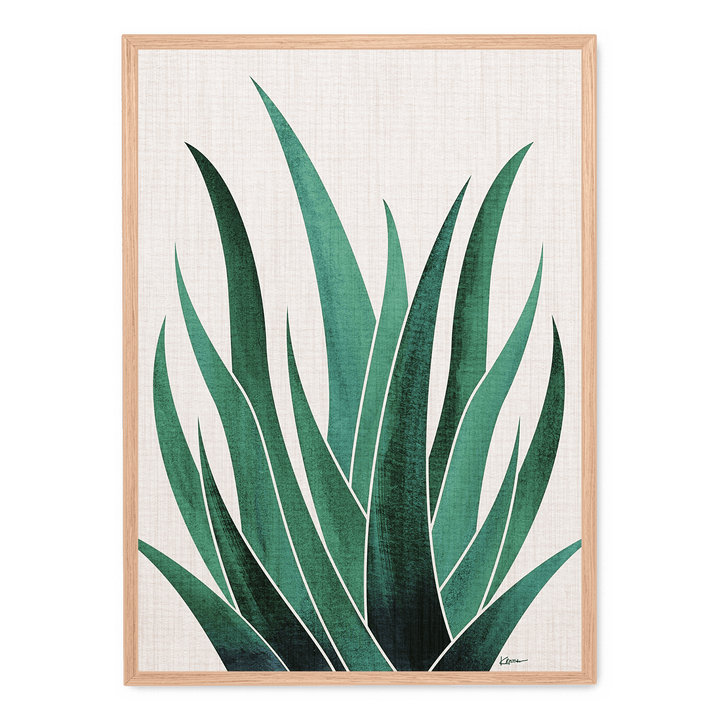 Desert Agave Cactus