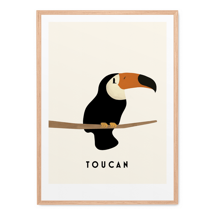 Little Toucan