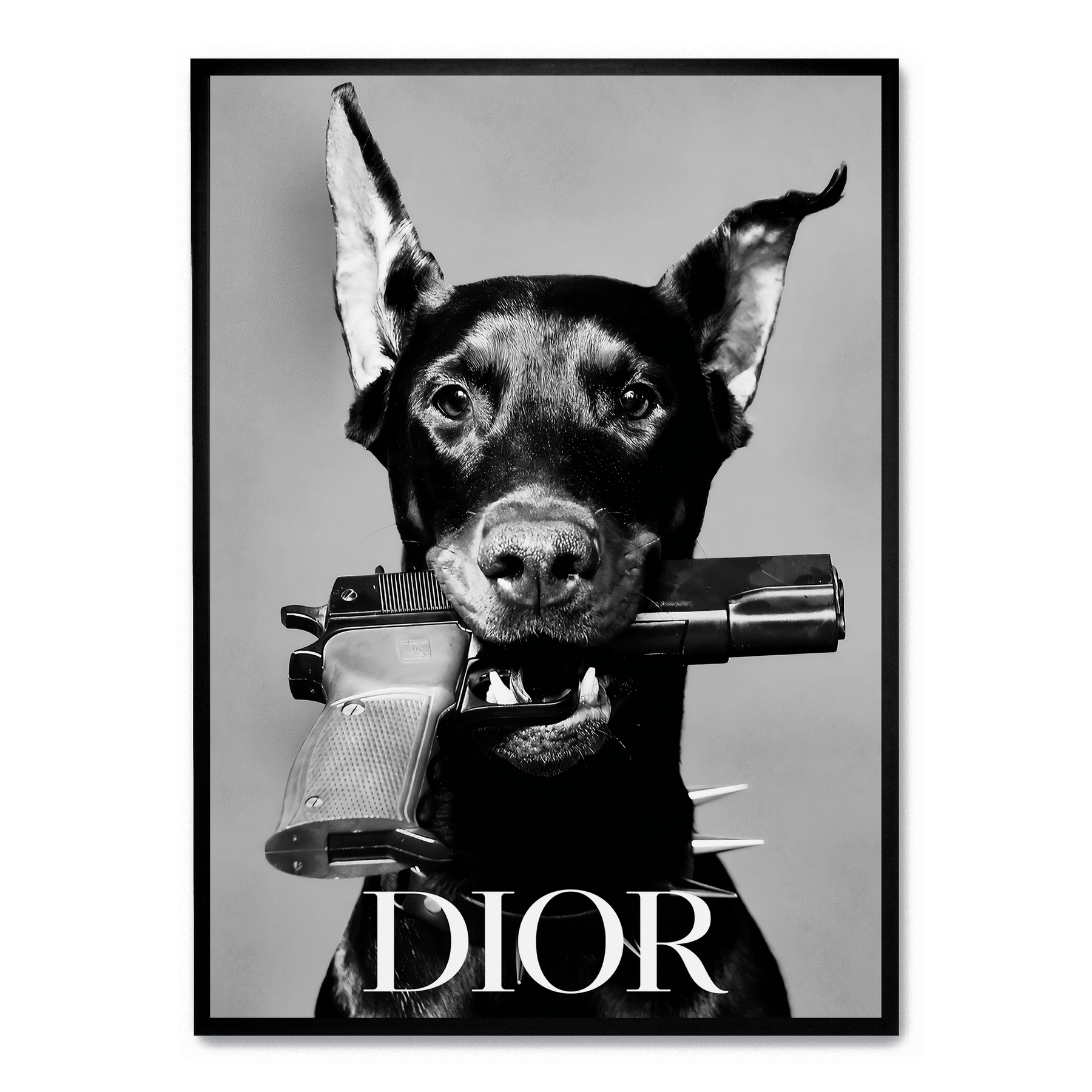 Dior poster |