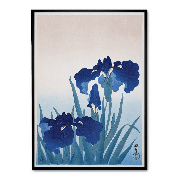Ohara Koson - Irises