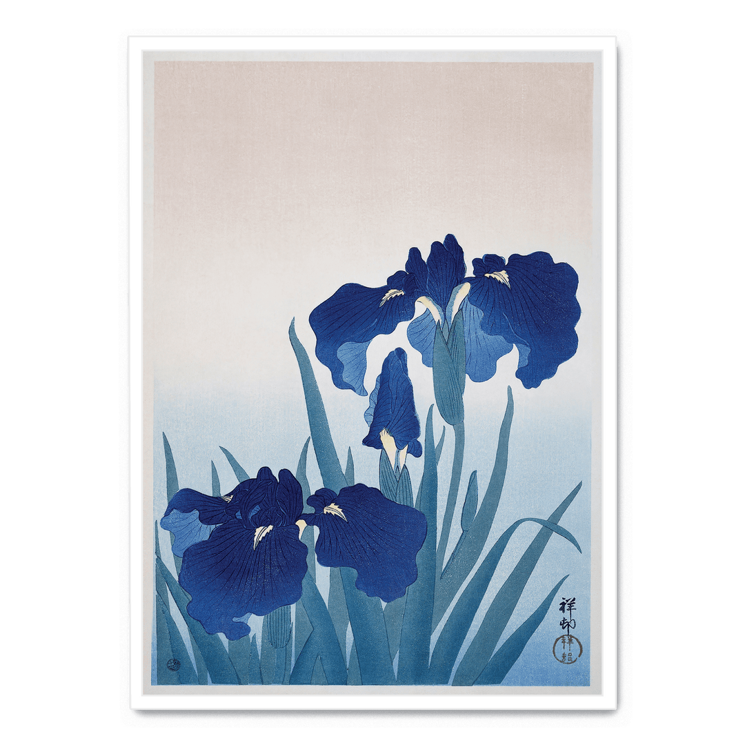 Ohara Koson - Irises
