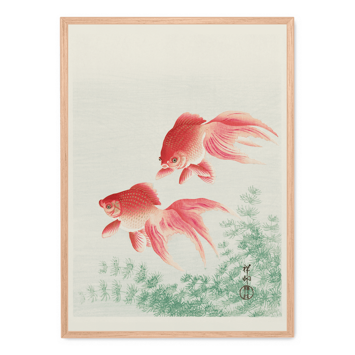 Ohara Koson - Two Goldfish