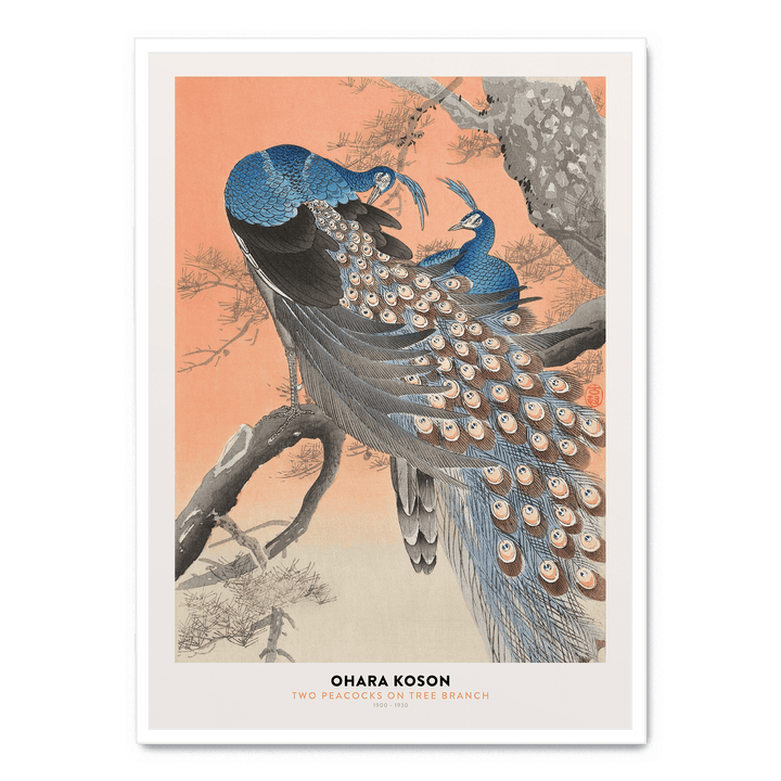 Ohara Koson - Two Peacocks Tree Branch
