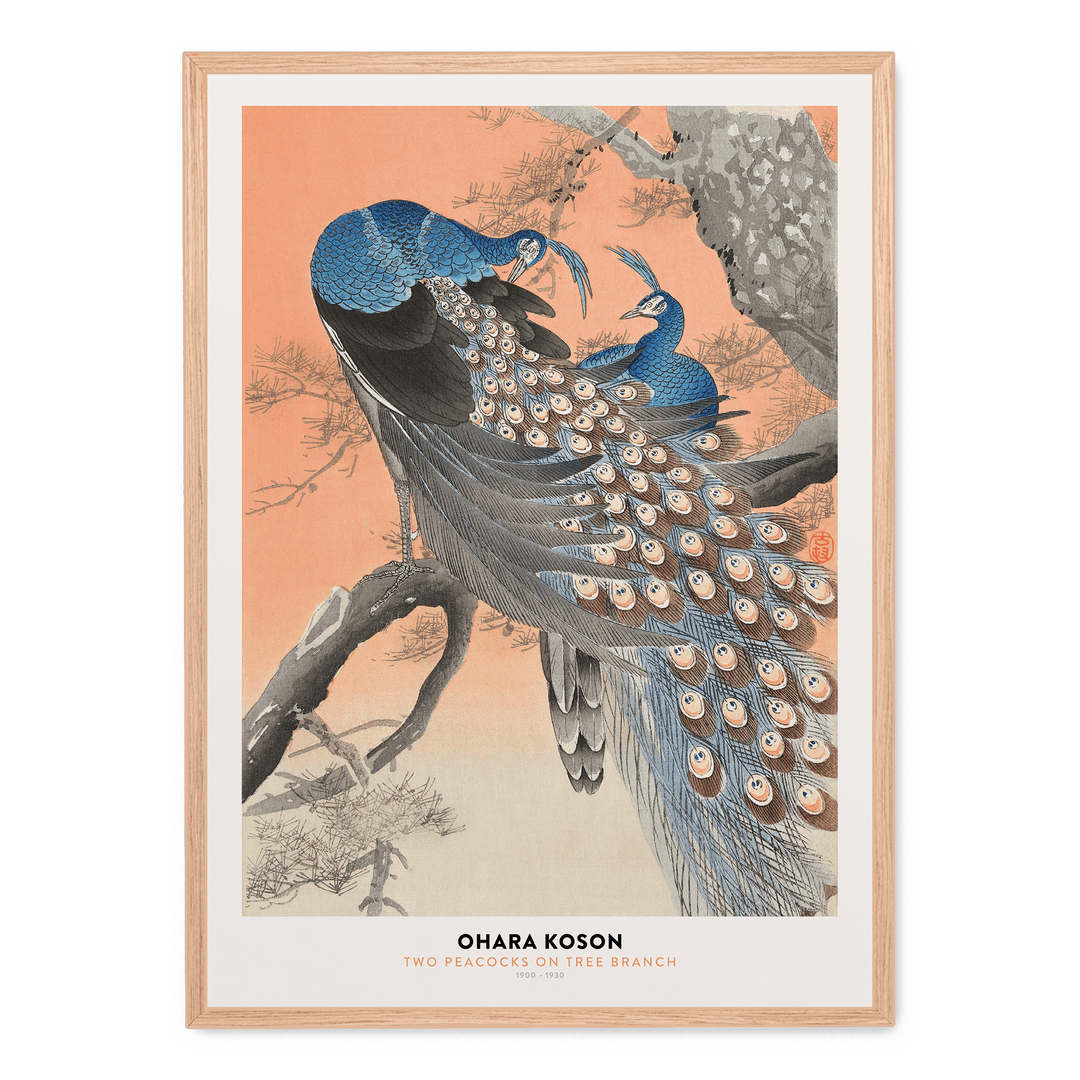 Ohara Koson - Two Peacocks Tree Branch