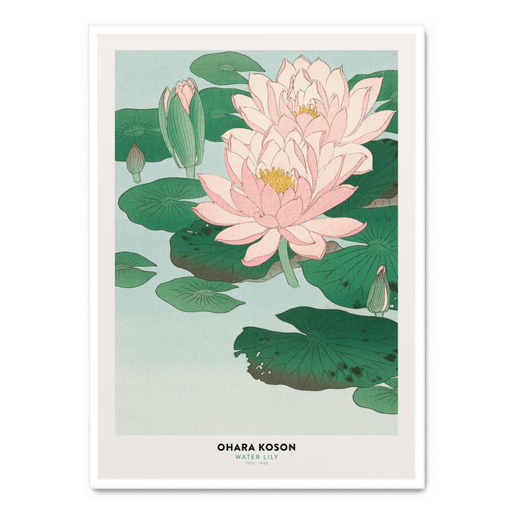 Ohara Koson - Water Lily