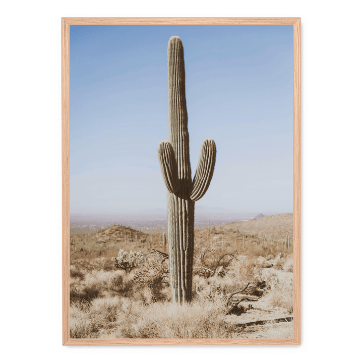 Large Cactus