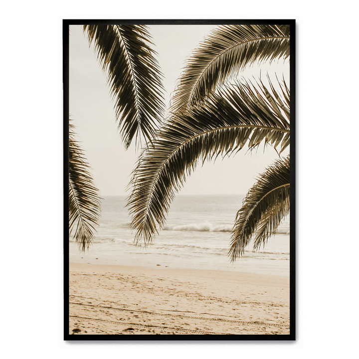 Palm Leaves On The Beach