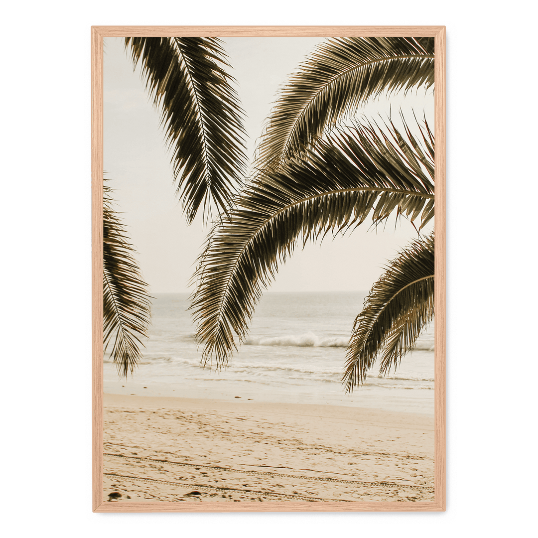 Palm Leaves On The Beach