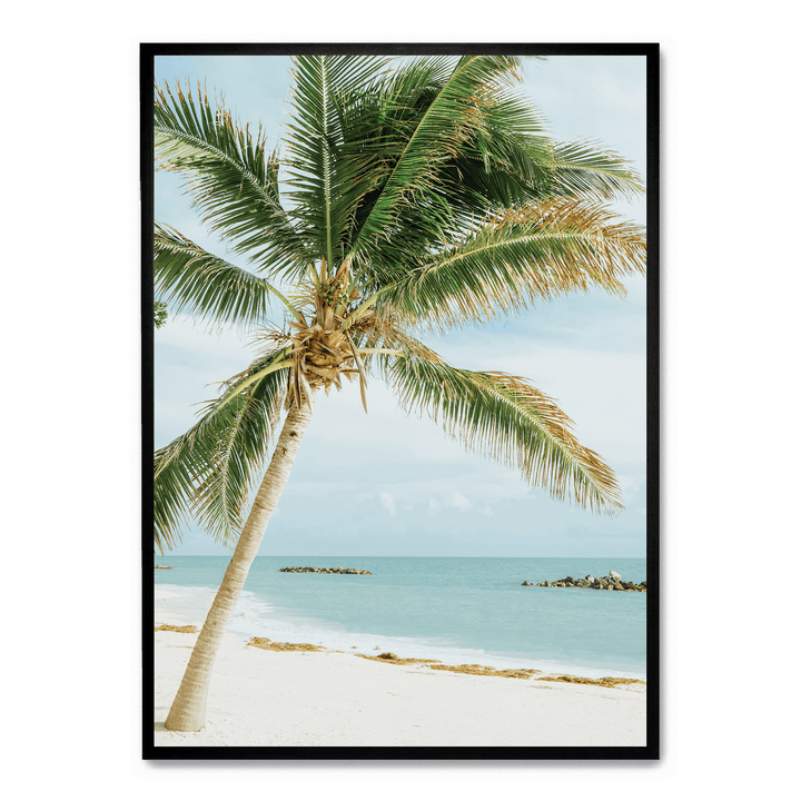 Palm Tree On The Beach