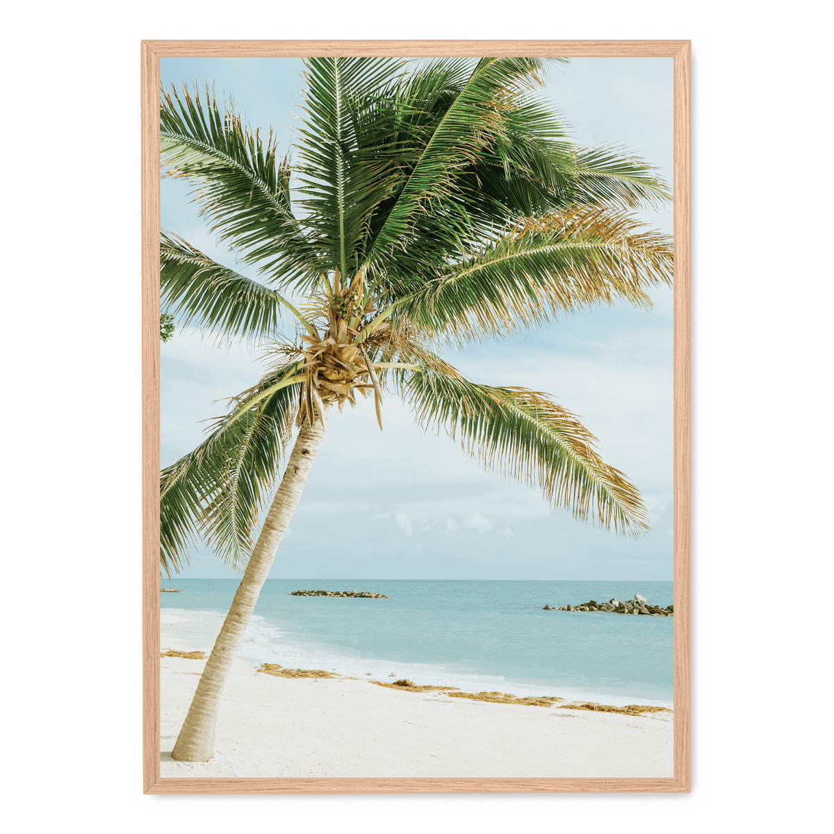 Palm Tree On The Beach poster | Postera.art