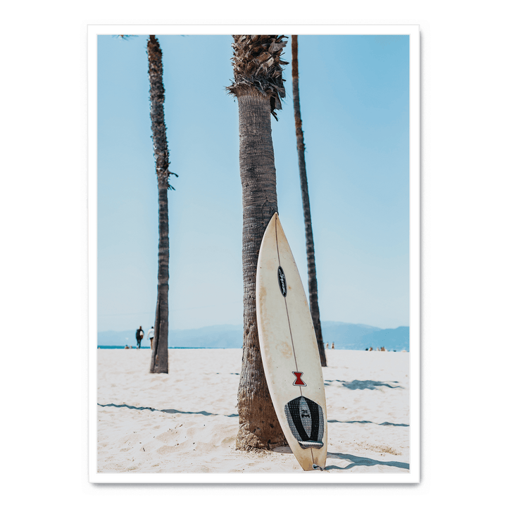 Surfboard By A Palm Tree