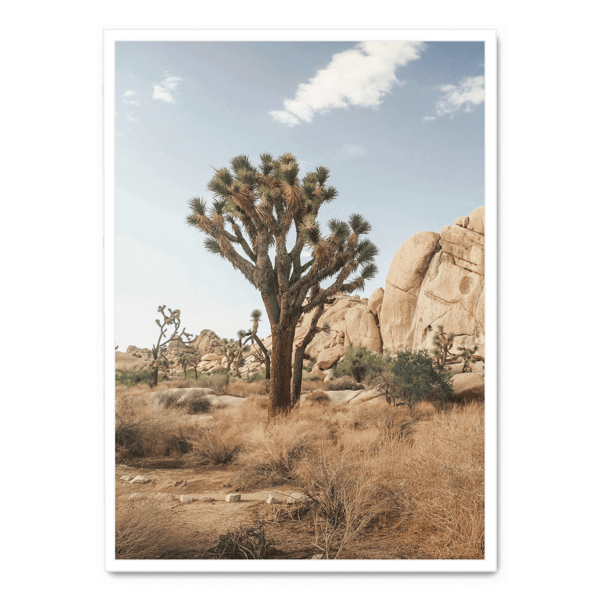 Tree In The Desert Poster Postera art tree-in-the-desert-poster-postera-art