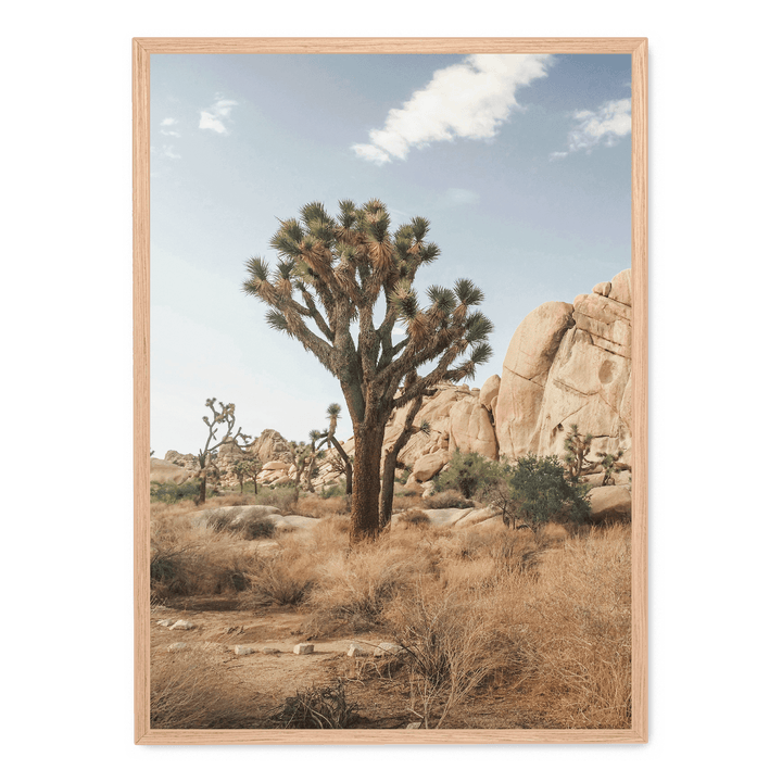 Tree In The Desert