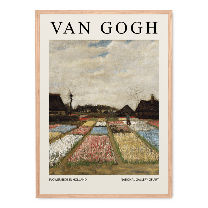 Flower Beds In Holland