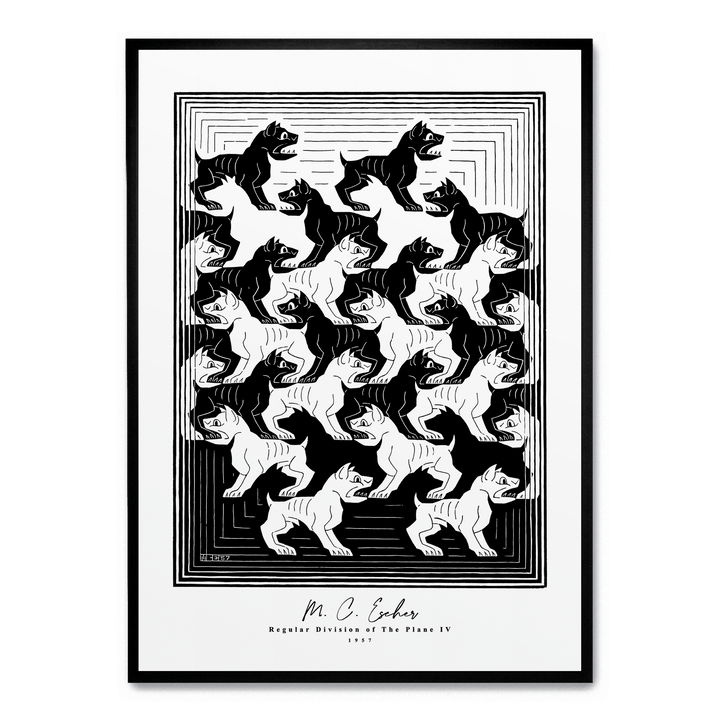 Regular Division Of The Plane IV